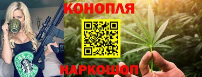 наркотики Будённовск