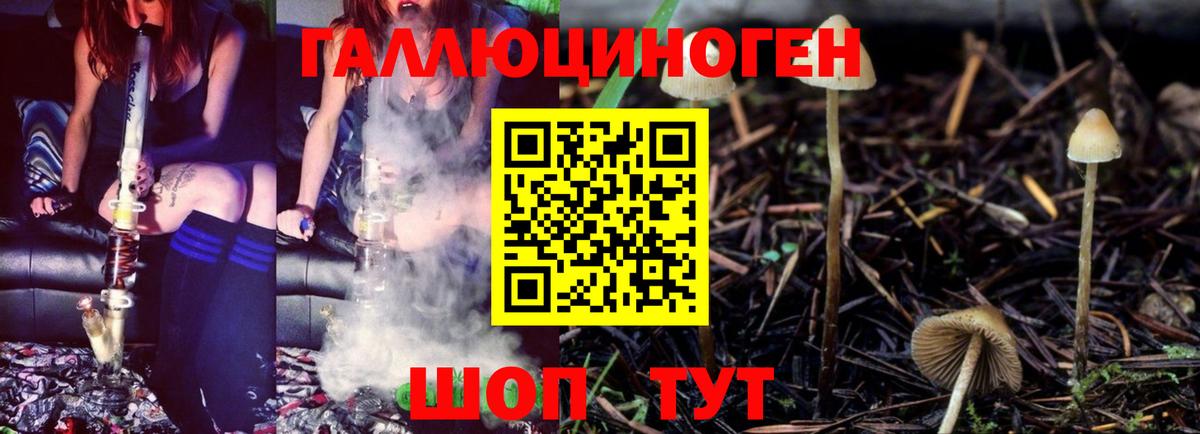 Псилоцибиновые грибы MAGIC MUSHROOMS Слободской
