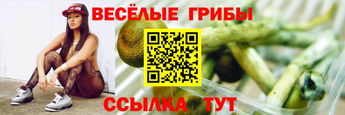 Псилоцибиновые грибы MAGIC MUSHROOMS  Вход с VPN  Слободской 